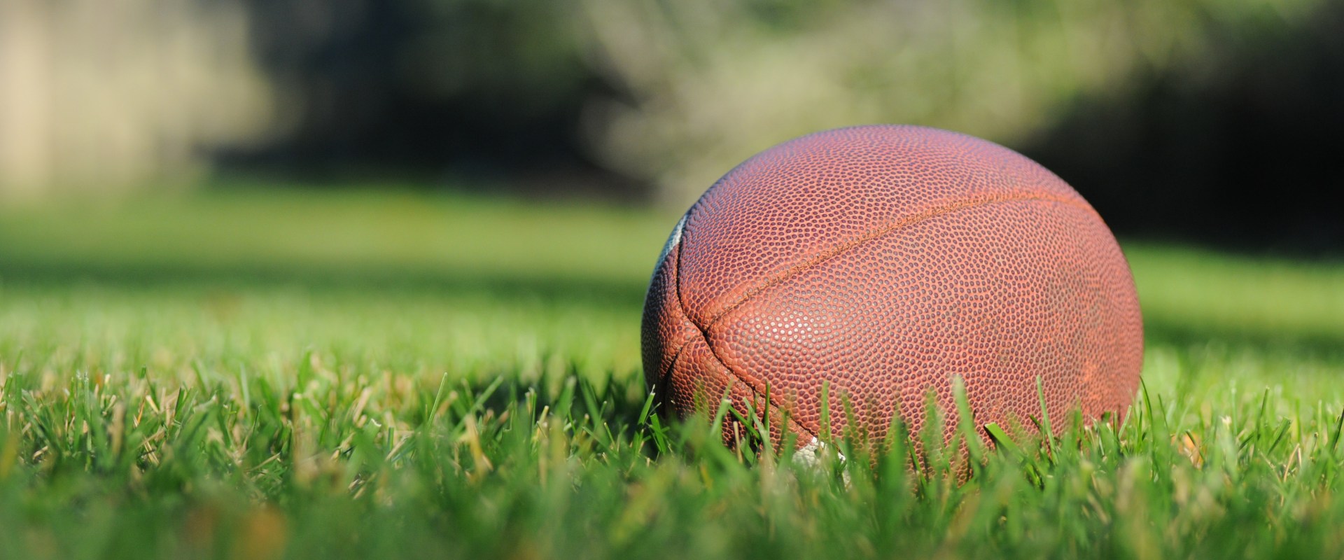 What is Fantasy Sports and How Does it Work?